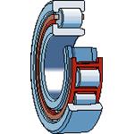 NJ 319 ECN2ML/C3 SKF SKF0027518