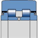 PWTR 25.2RS SKF SKF0012472